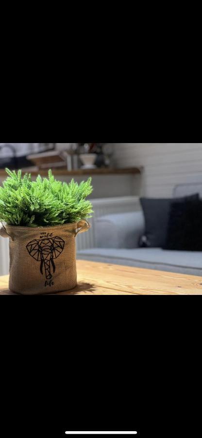 Minihane 萨潘贾 外观 照片